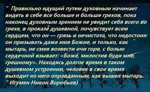 Горе имеем. Игумен Никон Воробьев высказывания. Изречения Никон Воробьев. Никон воробьёв цитаты. Игумен Никон воробьёв цитаты.