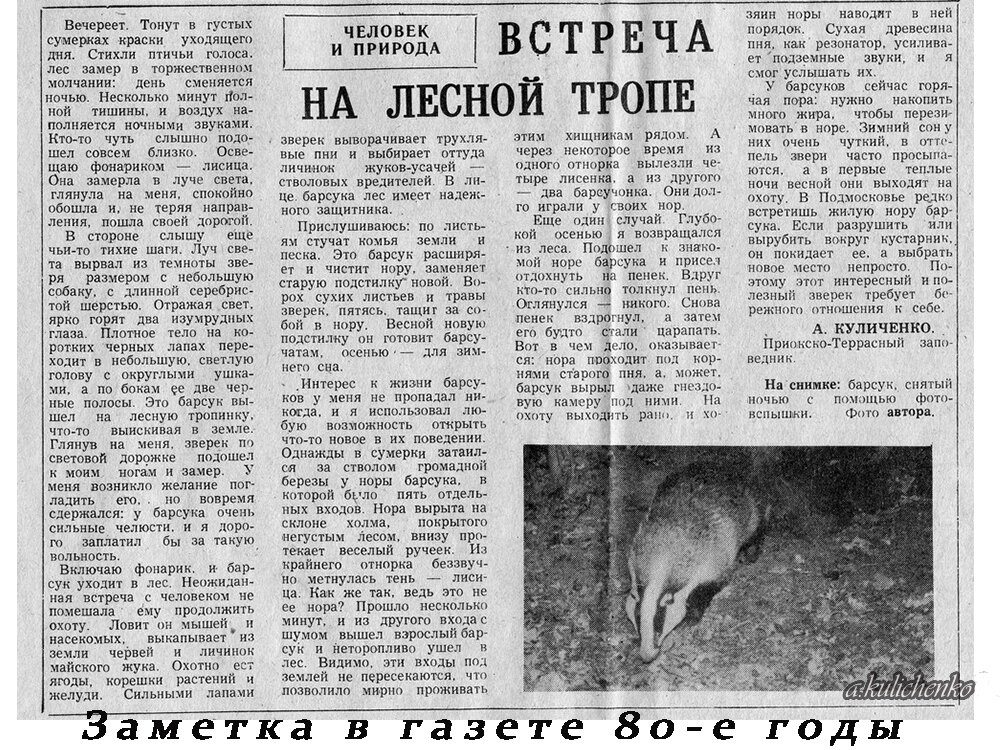 В этой газете один из первых снимков у норы барсука со вспышкой.