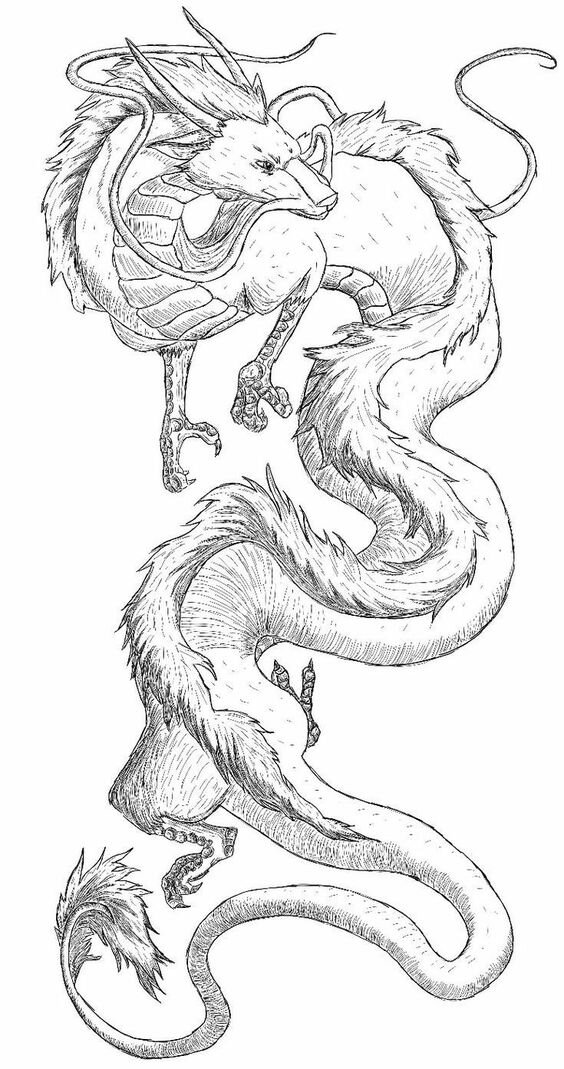 Эскиз дракона Хаку. Унесенные призраками. Хаяо Миядзаки.