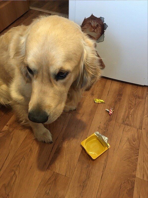 «А не ругай меня, мамаша,
Меня не за что ругать.
Моё дело молодое,
Мне охота погулять!»