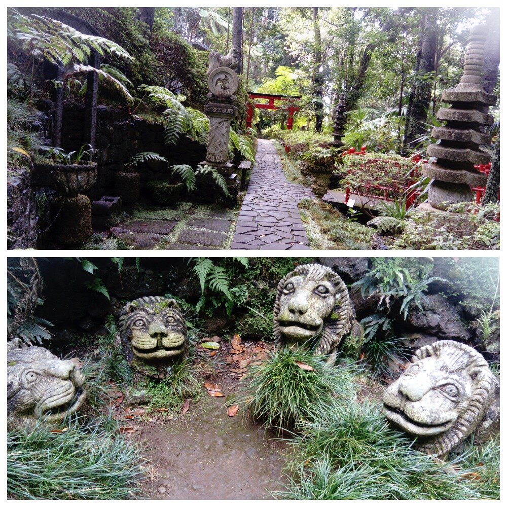 Фото автора. Ботанический сад Мадейры