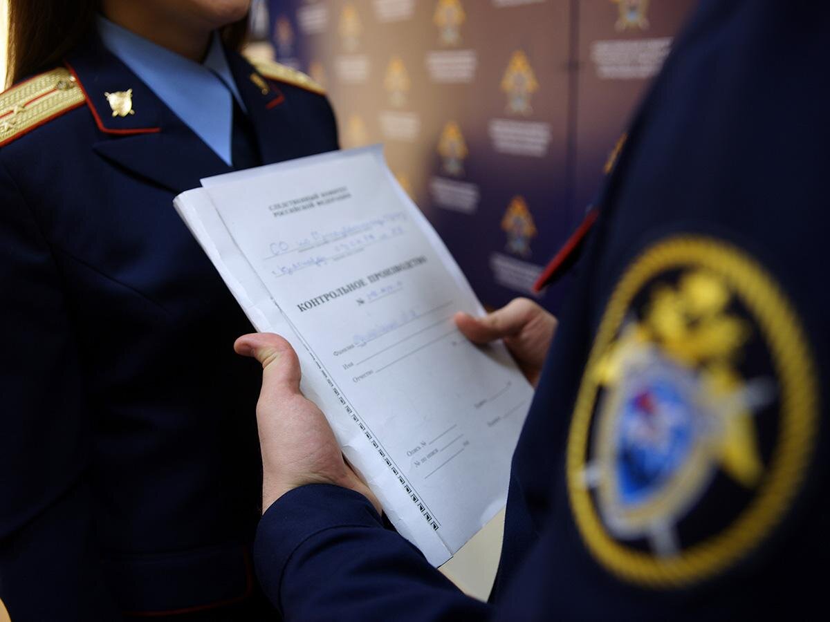 Органы дознания картинки для презентации