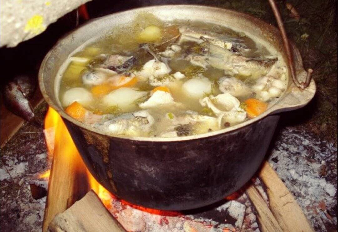 Жёсткая Средневековая кухня. Рыцари и короли ели странные блюда | Мысль в  голове. | Дзен