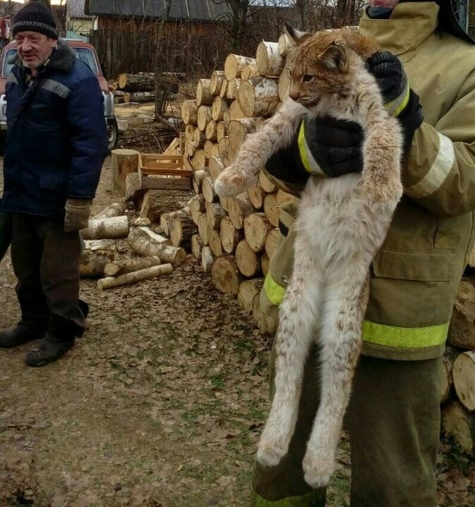 Фотографии из интернета