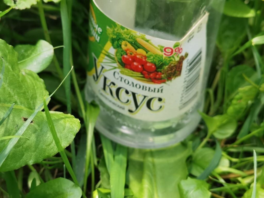 Уксус помогает б борьбе с сорняками