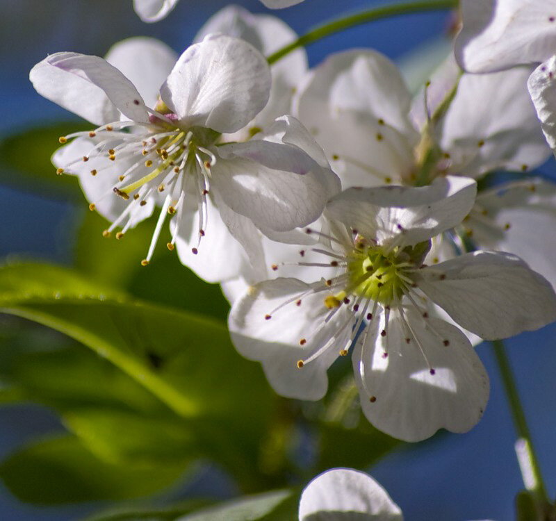 Фото: Любовь Мельник