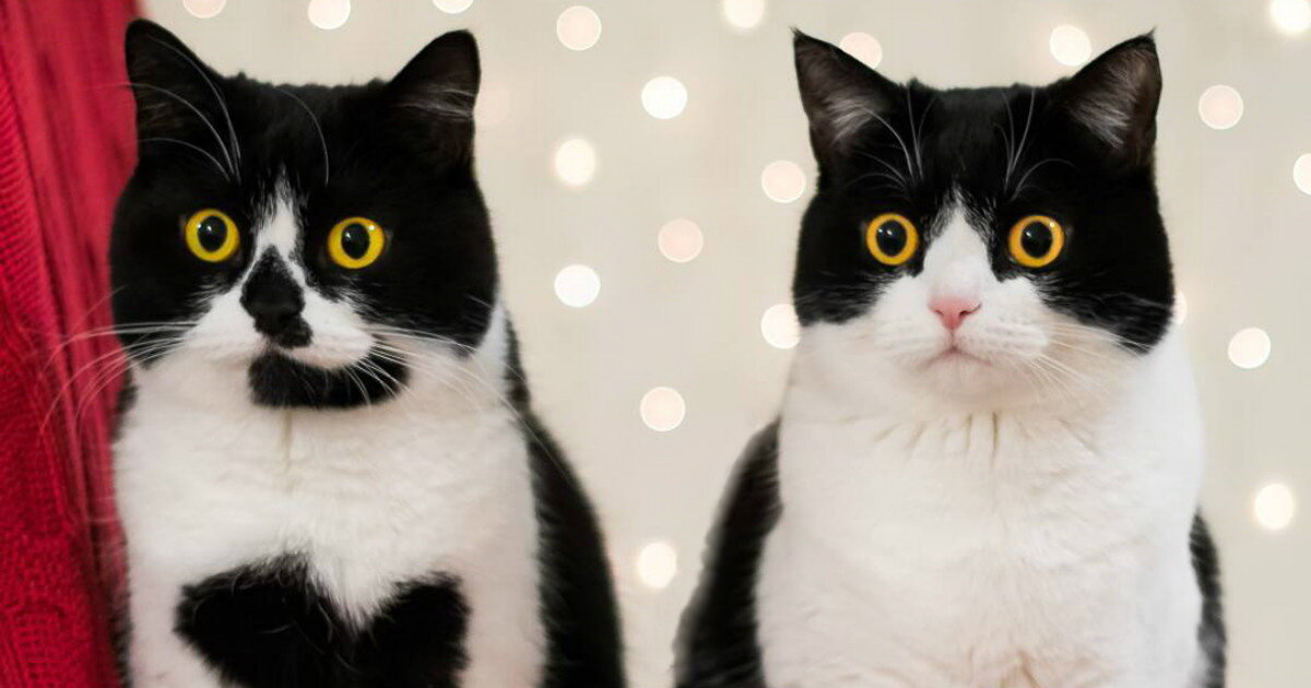 Фото из доступных источников