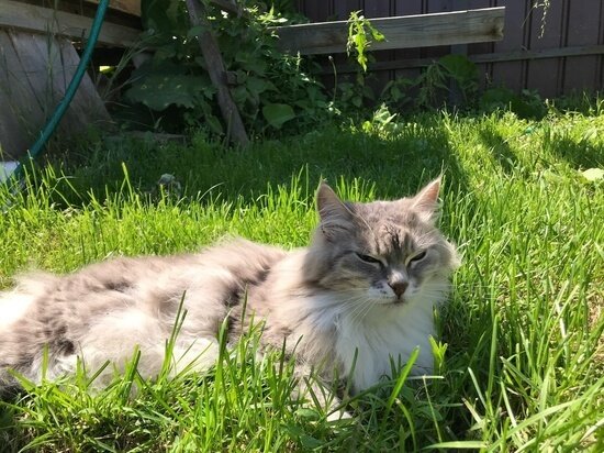     Фото Влады Настенко/МК в Красноярске