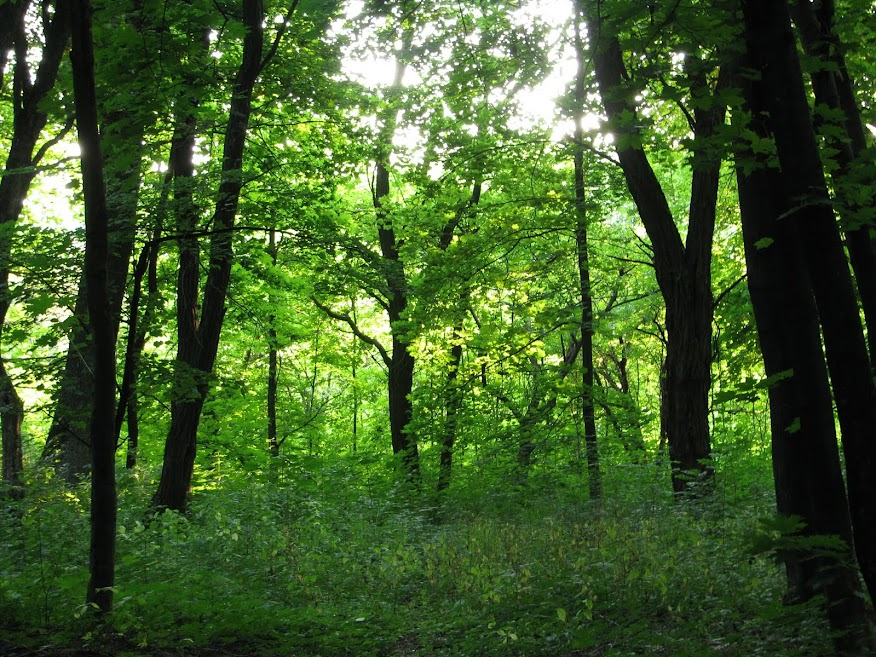 Здесь и дальше - фото автора.