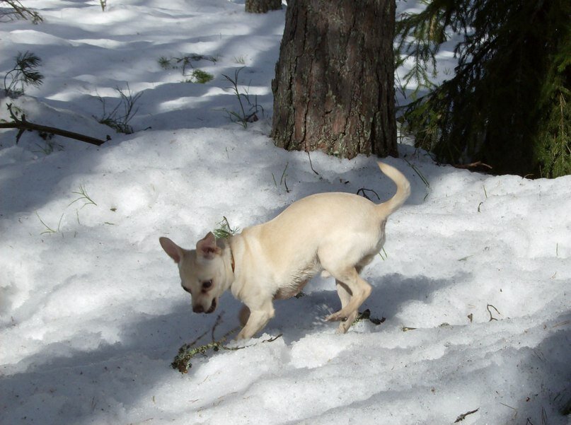 Веня молод и полон энергии).