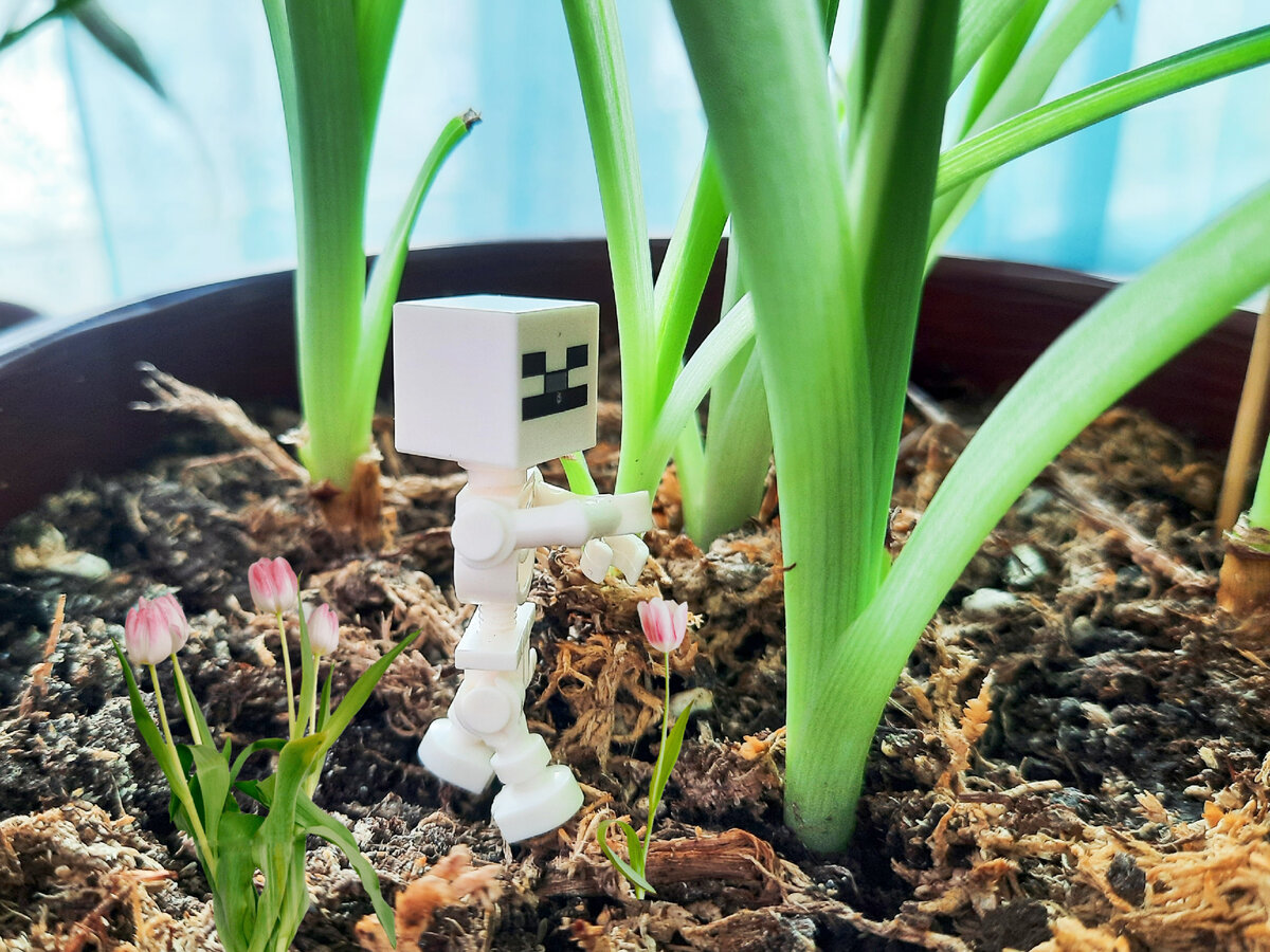 Фото автора канала