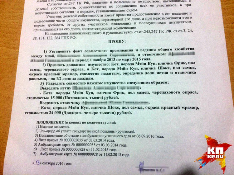 Источник фото: Комсомольская правда, https://www.nsk.kp.ru/daily/26613/3630251/