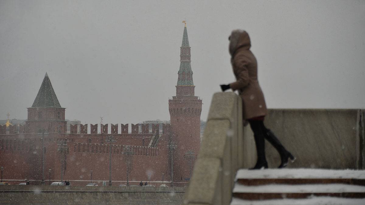    Фото: Александр Кочубей / Вечерняя Москва