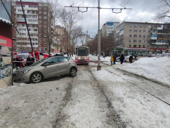     Фото: УМВД России по Томской области