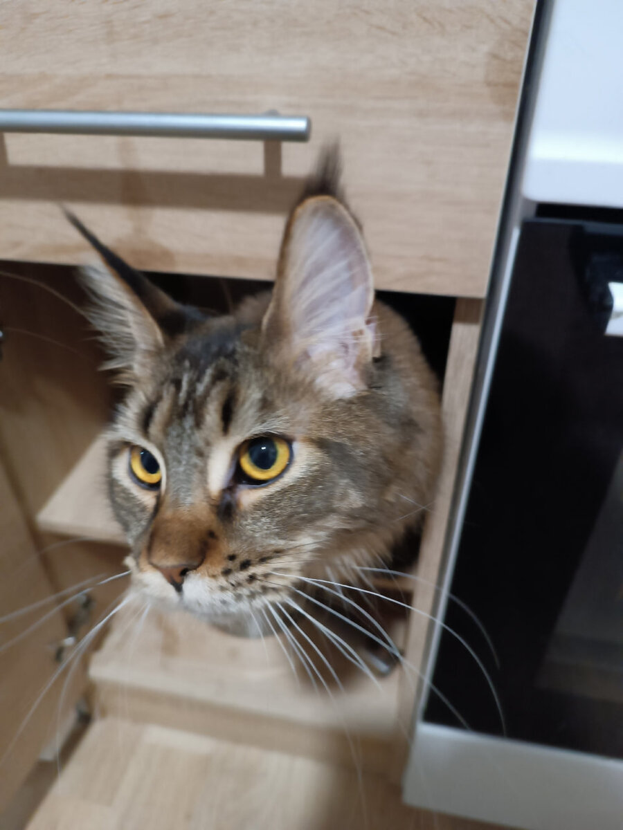 Урсула уже выбрала удобное место, чтобы слушать сказку