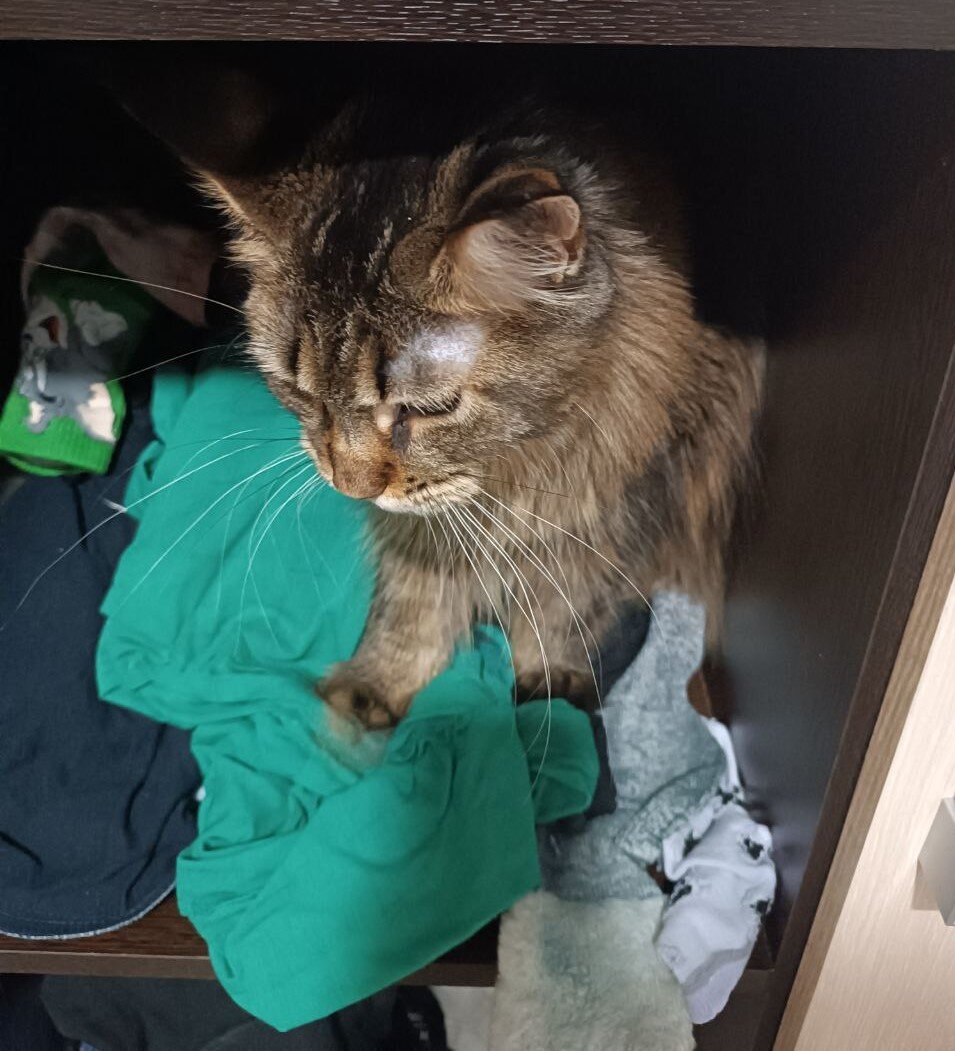 А я жду, что меня почешут!