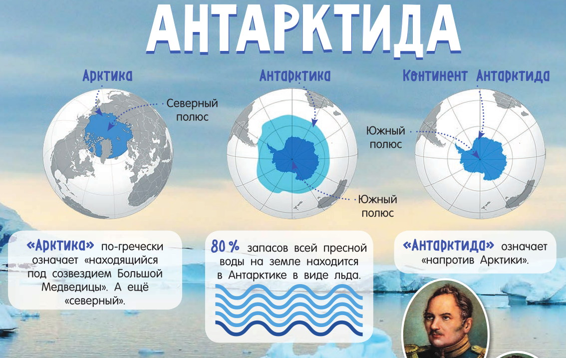 Глобус показать северный ледовитый океан и антарктиду. Арктика и Антарктида. Арктика Антарктика Антарктида. Арктика и Антарктида разница. Арктика и Антарктика на карте.