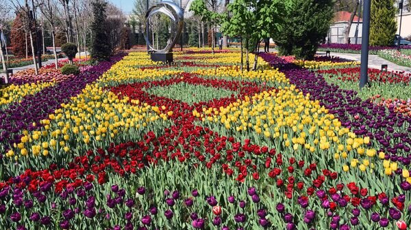    © Пресс-служба Президента Республики Таджикистан