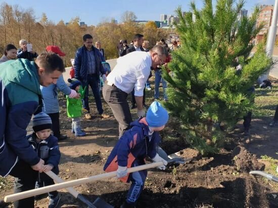     архив МК
