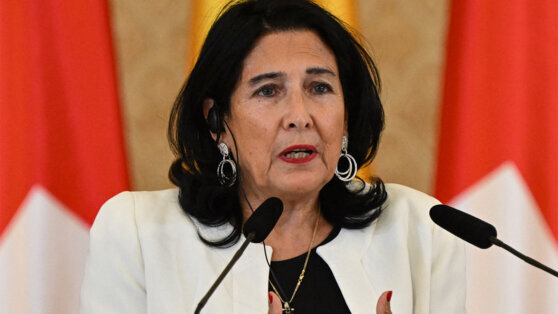    Президент Грузии призывает власти воздержаться от применения силы в отношении протестующих Дарья Смирнова