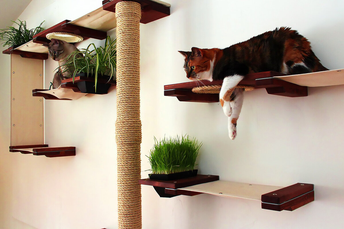 20+ уютных домиков и лежанок для котиков: любимцы их обожают | Уютный дом с BLIZKO | Дзен