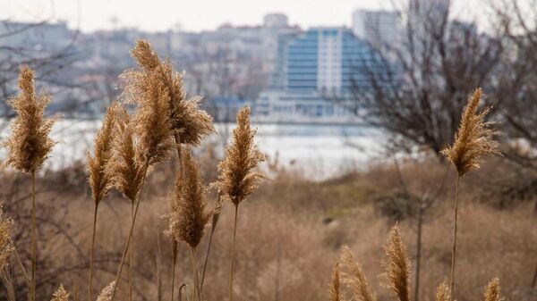    © РИА Новости Крым . Дмитрий Макеев