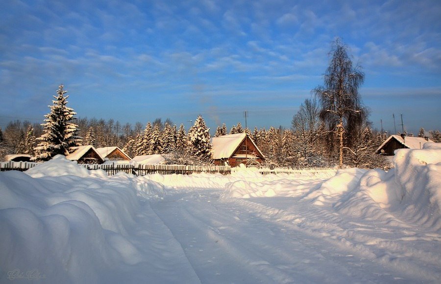 Изображение взято из Интернета.