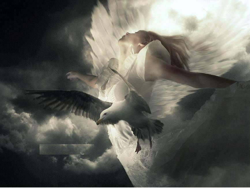 Легче птички она к нему подскочила. Ангел с расправленными крыльями. Женщина с крыльями. Улетающий ангел. Ангел небес.