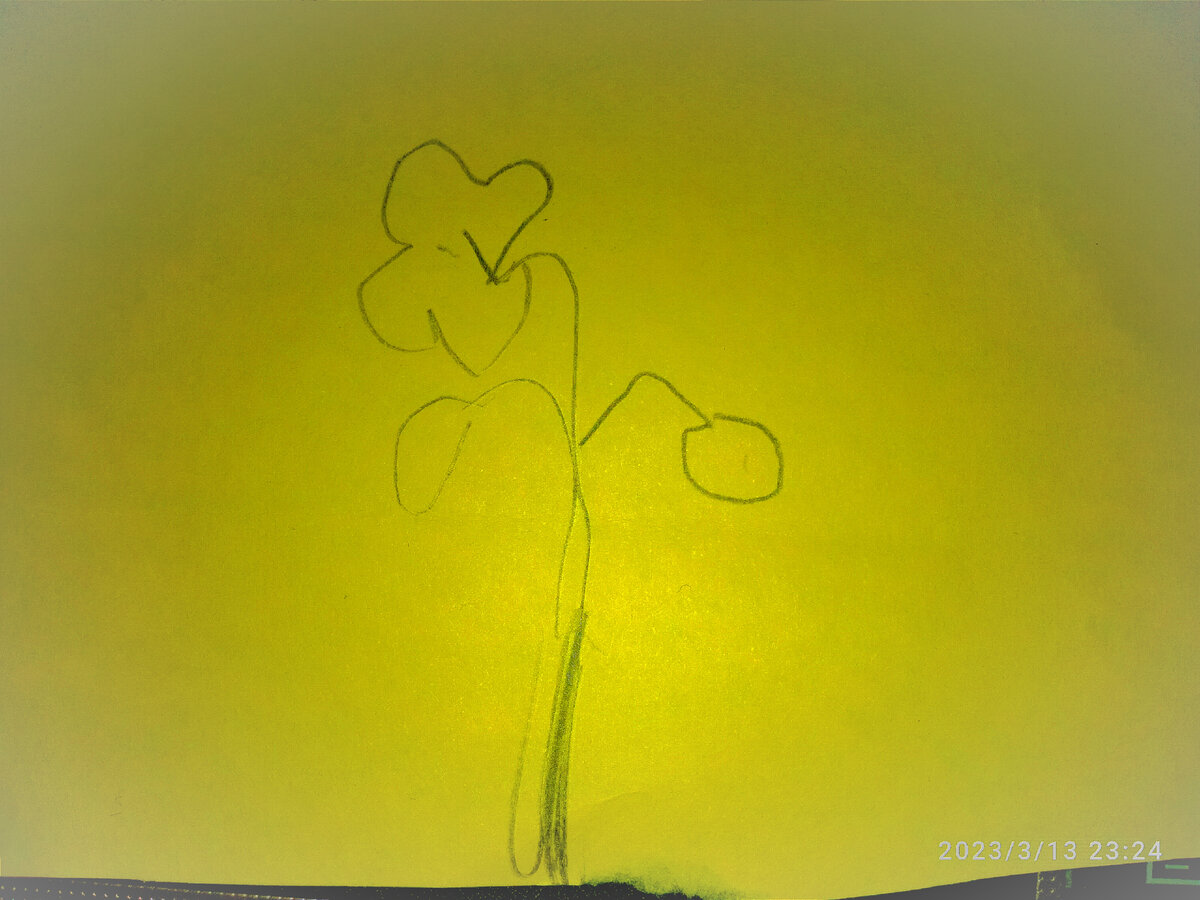 Подарок от Паши на восьмое марта