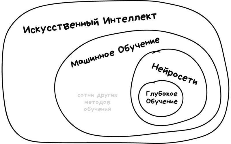 Слепая собака с трагической судьбой надеется на рождественское чудо