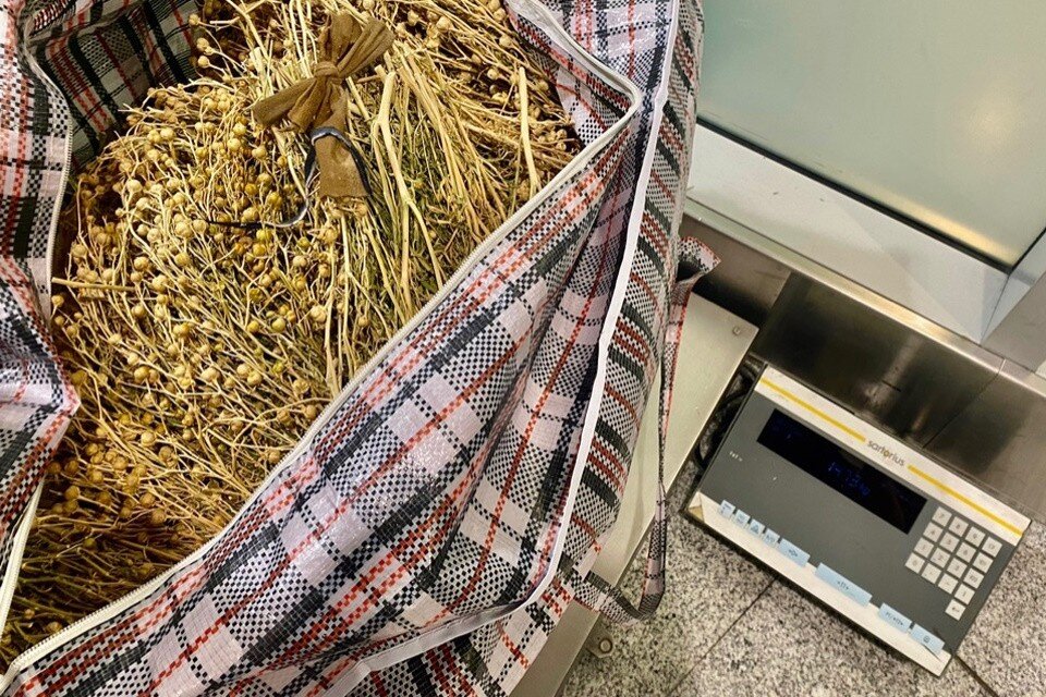     Таможенники пресекли незаконный ввоз 44 кг гармалы - наркосодержащего растения. Фото: Домодедовская таможня