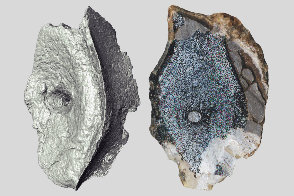     Фото: Øyvind Hammer; Jørn Hurum