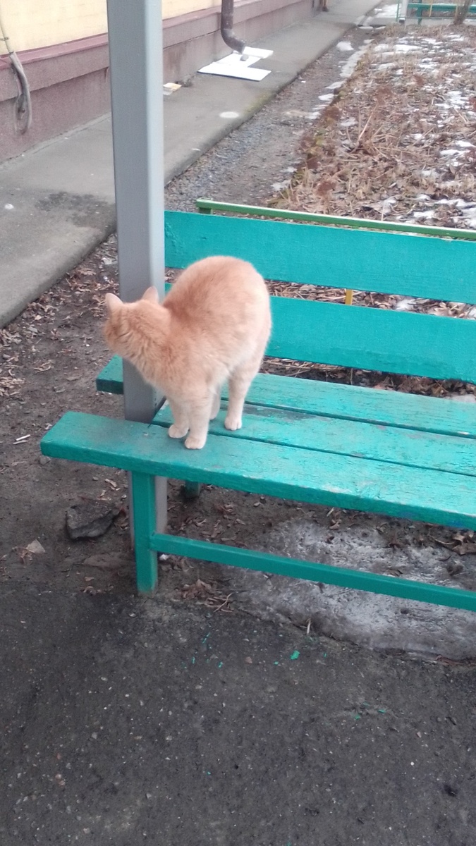 Фото сила - в знаниях