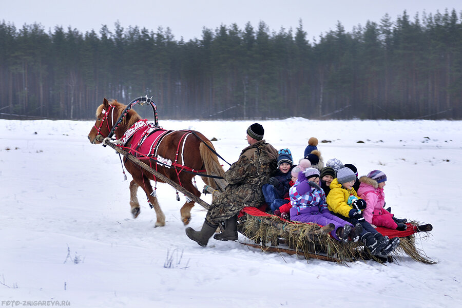 Фото: planetakorov.ru