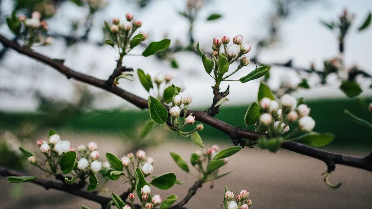 В субботу или в воскресенье будут праздники. Фото: www.piqsels.com