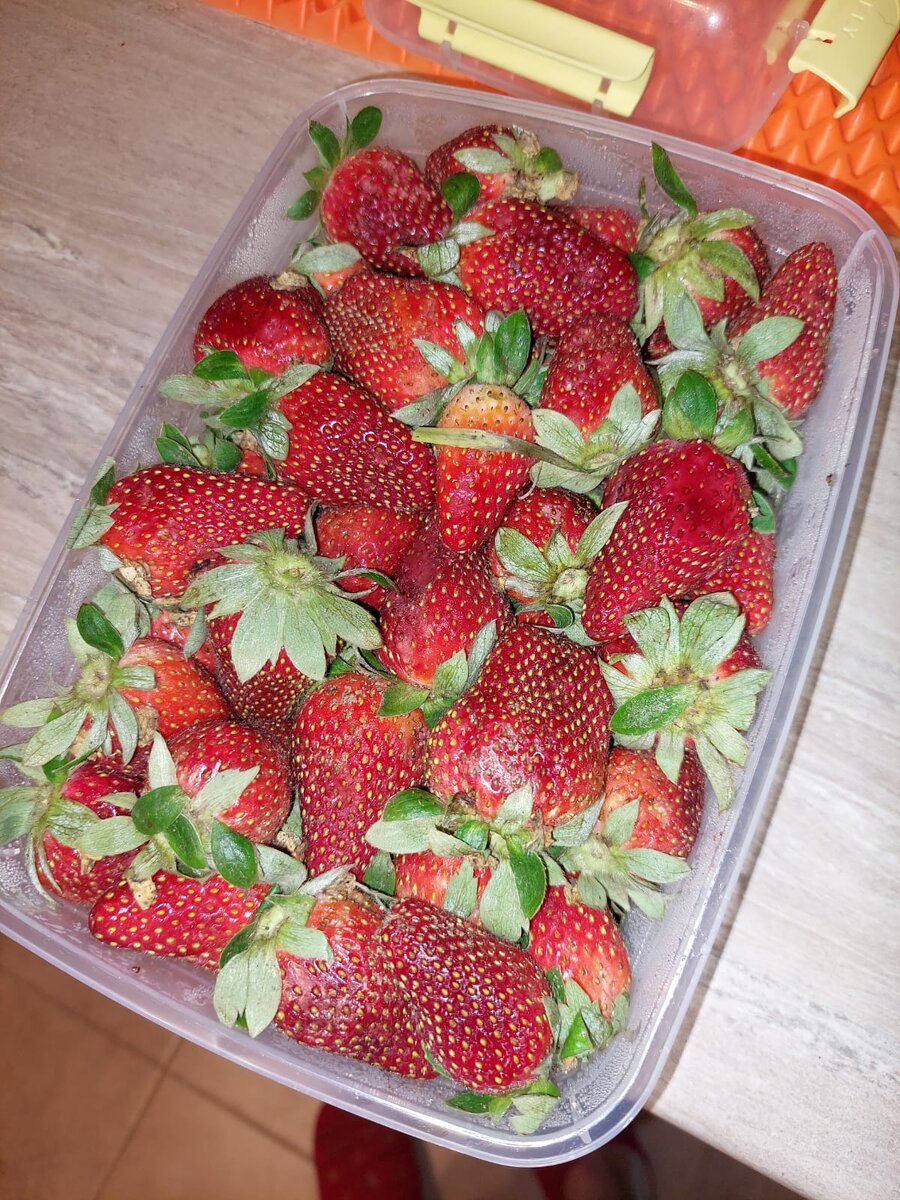 Вот в таком виде она доехала в Москву