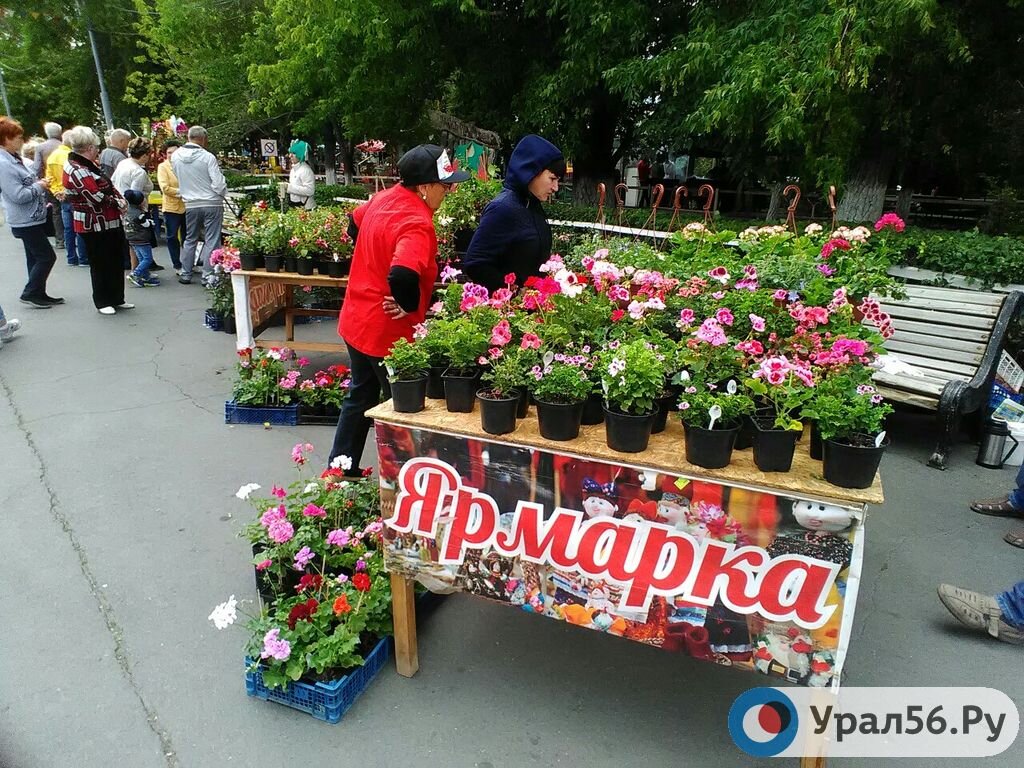    В Орске, несмотря на запрет массовых мероприятий, состоятся две весенние ярмарки