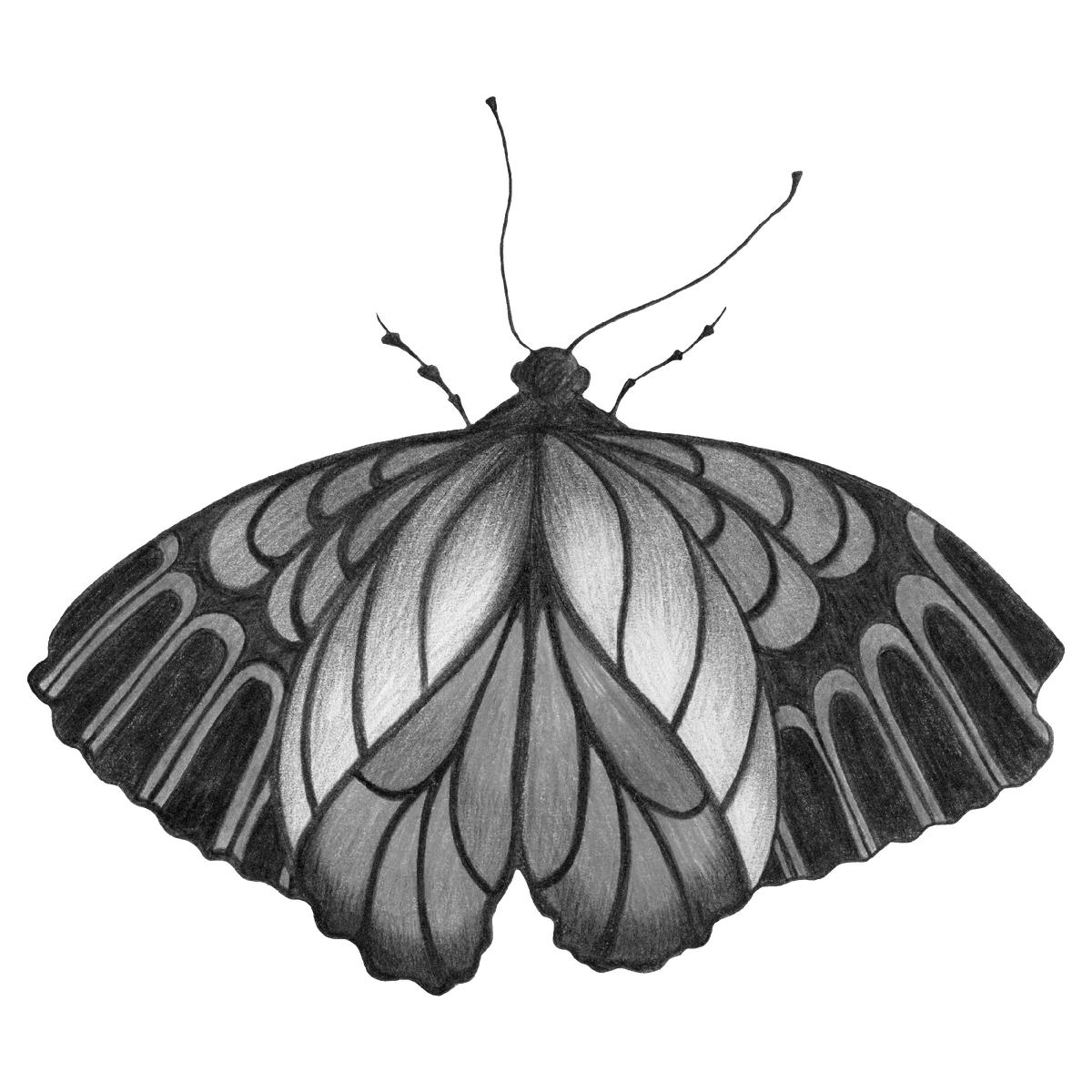 Моя иллюстрация. Просто для разбавления текста и чтобы было, что поставить на обложку поста )