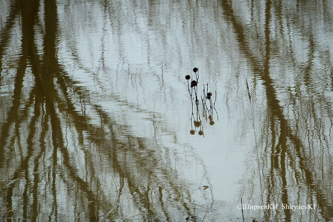 Половодье. Этюд.