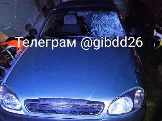     Фото:ГИБДД СК.