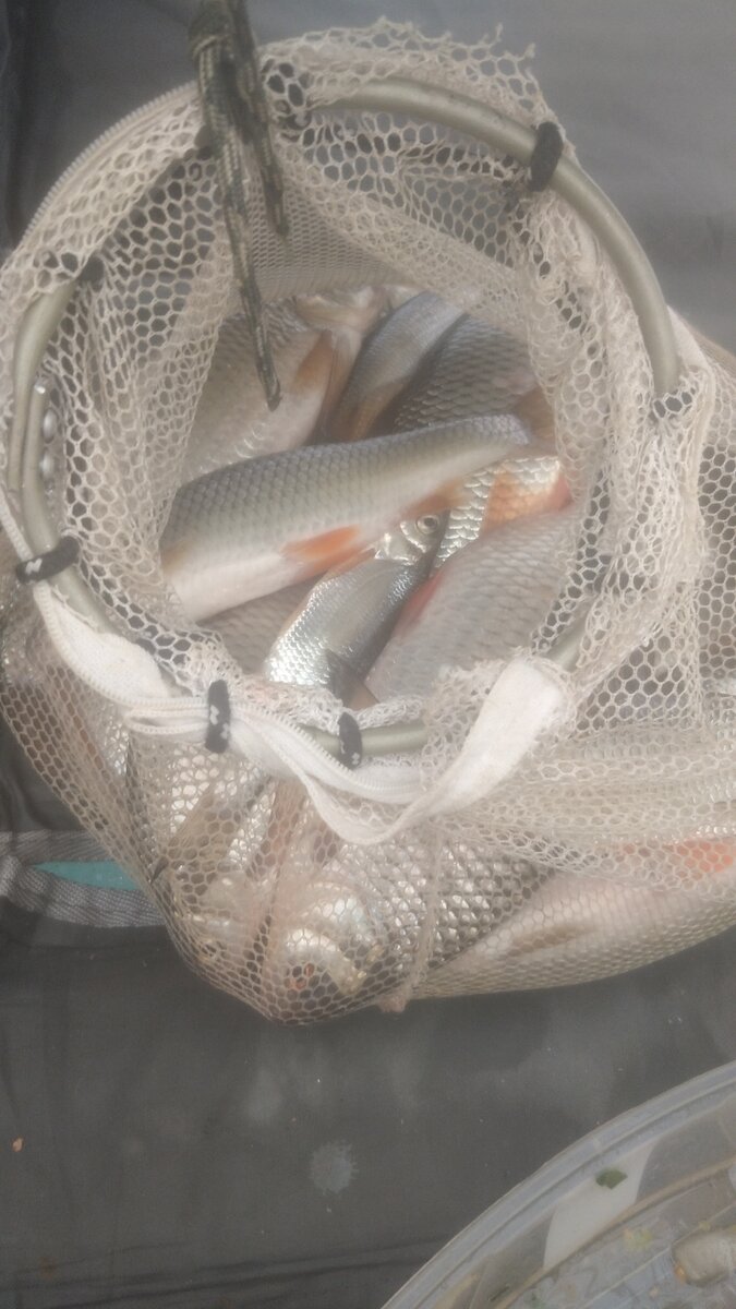 Батин улов!