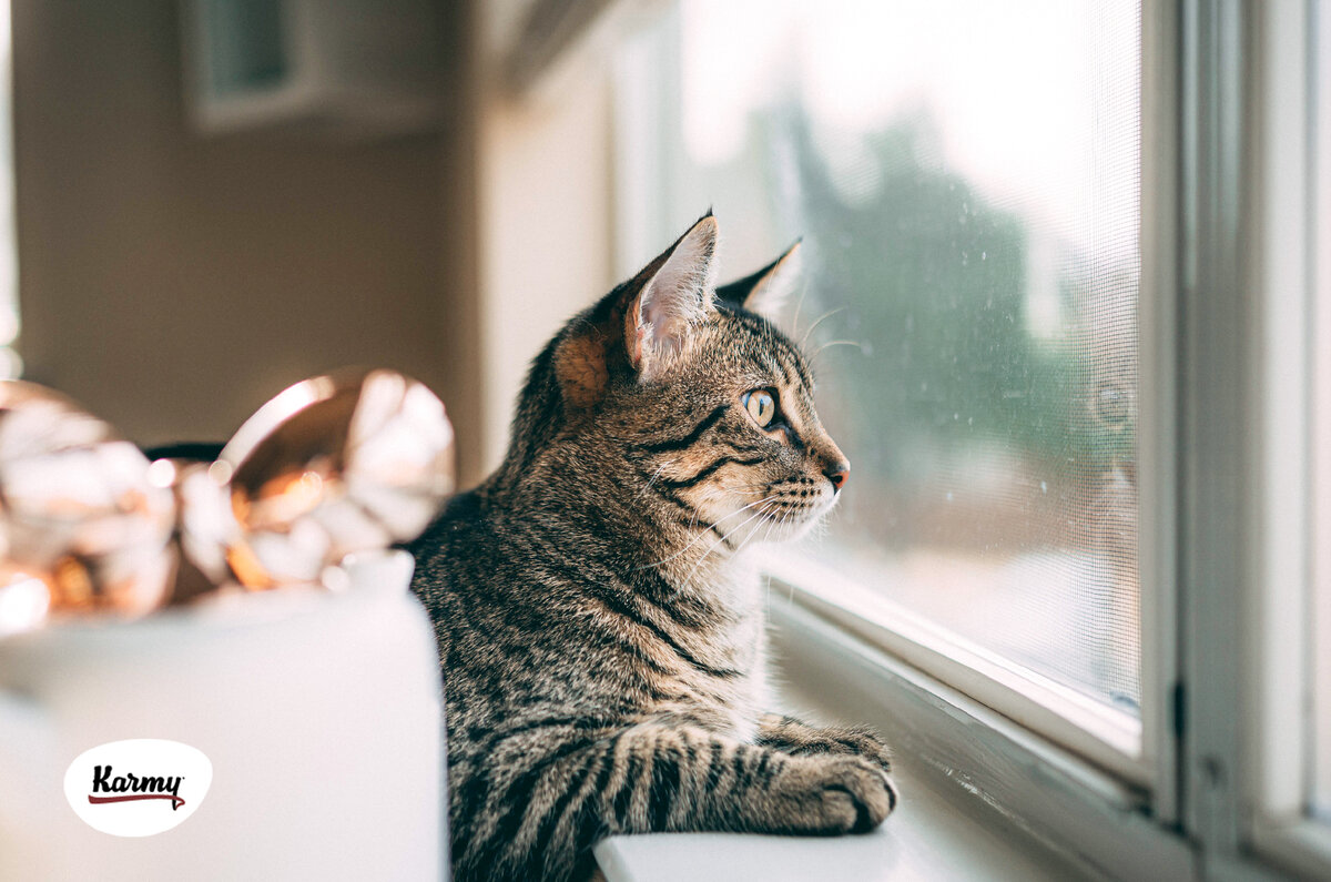 Авторское изображение с использованием картинки с фотостока "Unsplash"