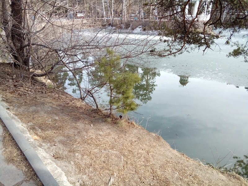 Все фотографии в публикации - авторские, сделаны 10 апреля 2023 года, во время прогулки по парку Гагарина