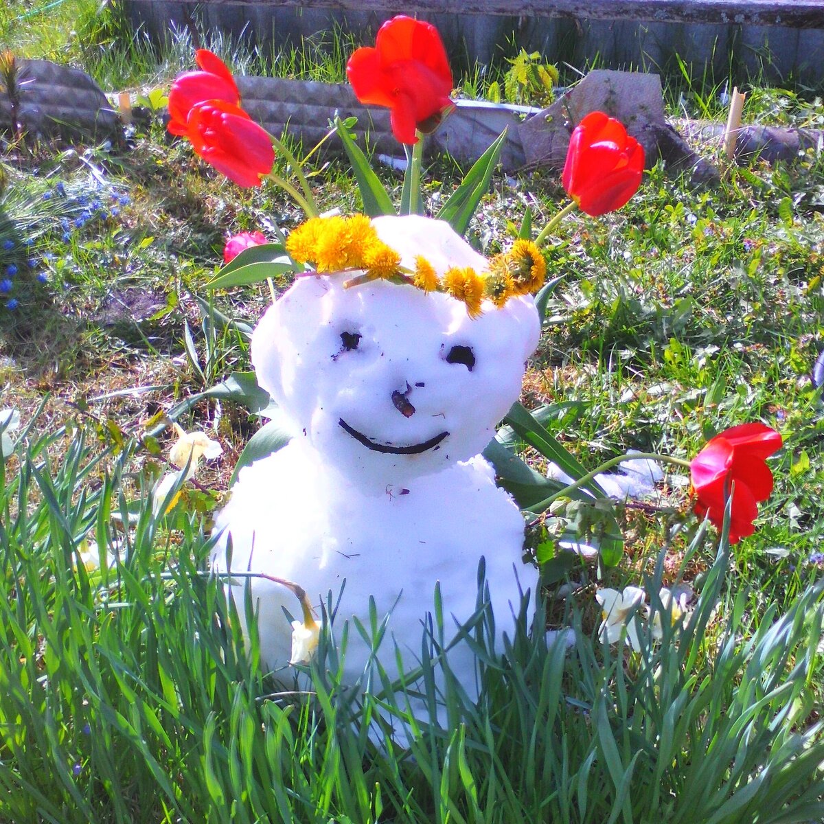 в этом году всё гораздо хуже фото автора