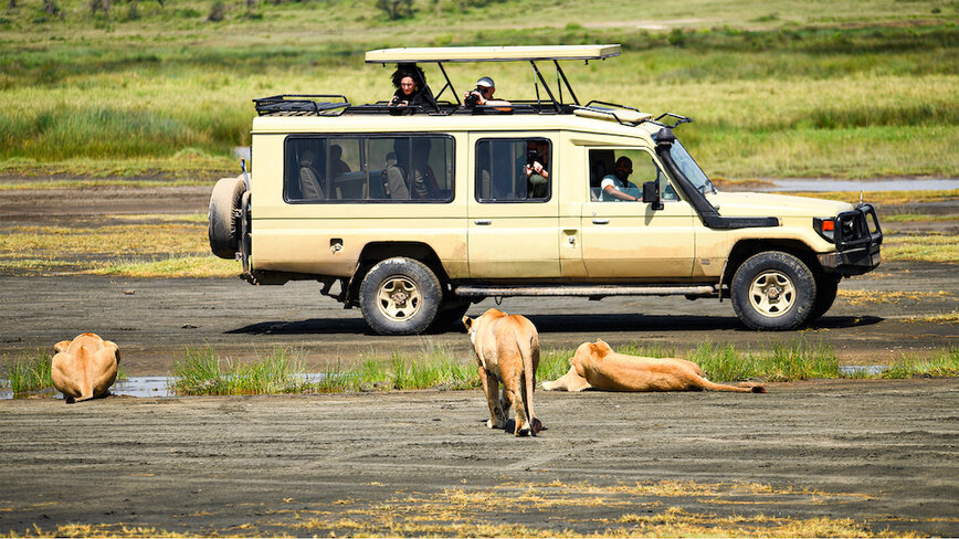     Фото: ncaa.go.tz