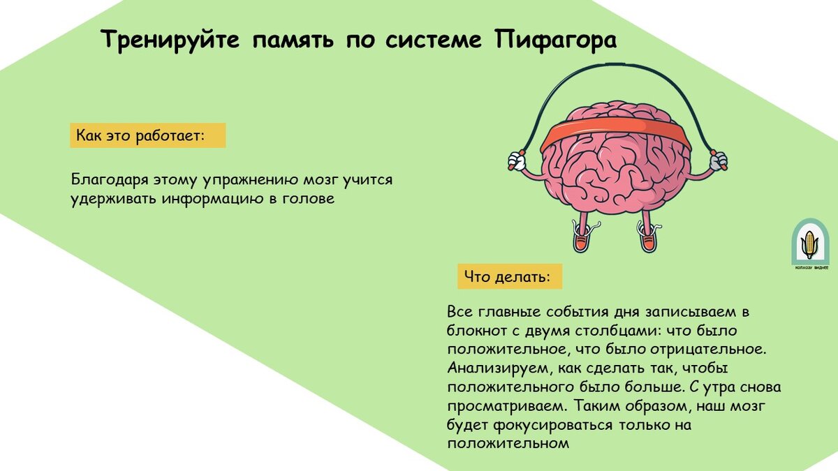 5 простых советов как улучшить работу мозга | Колхознику виднее 😎 | Дзен