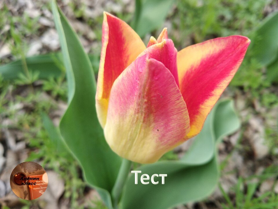 фото автора