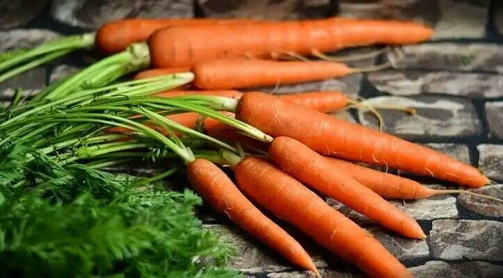 ...и растет плохо, и хранится еще хуже. Что не стоит делать для моркови при посадке и во время роста, какие агроприемы не на пользу моркови.-2