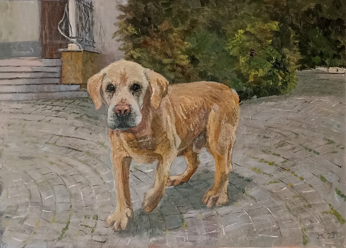 Пес. Холст, масло, 50 х 70 см, 2023 г