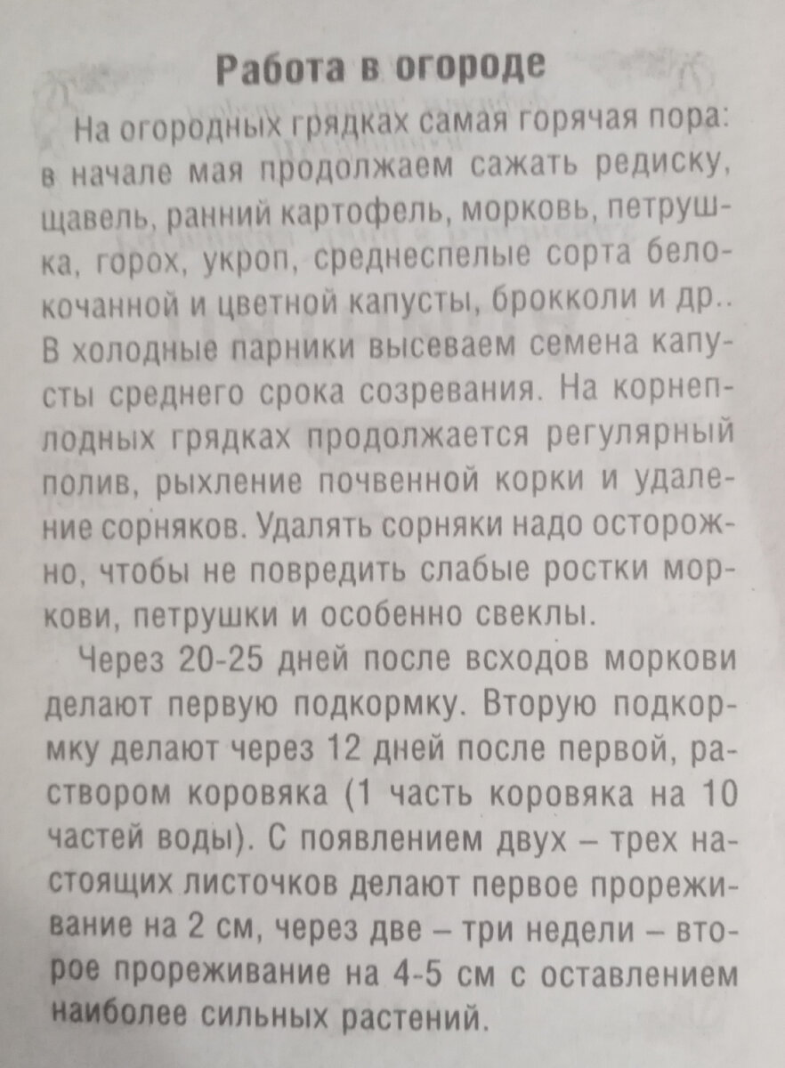 Я смотрю в календарь... 1 мая | VLVay | Музыка, путешествия, книги | Дзен